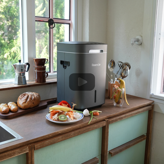 Vlog: Comparing Reencle Vs. Dehydrator